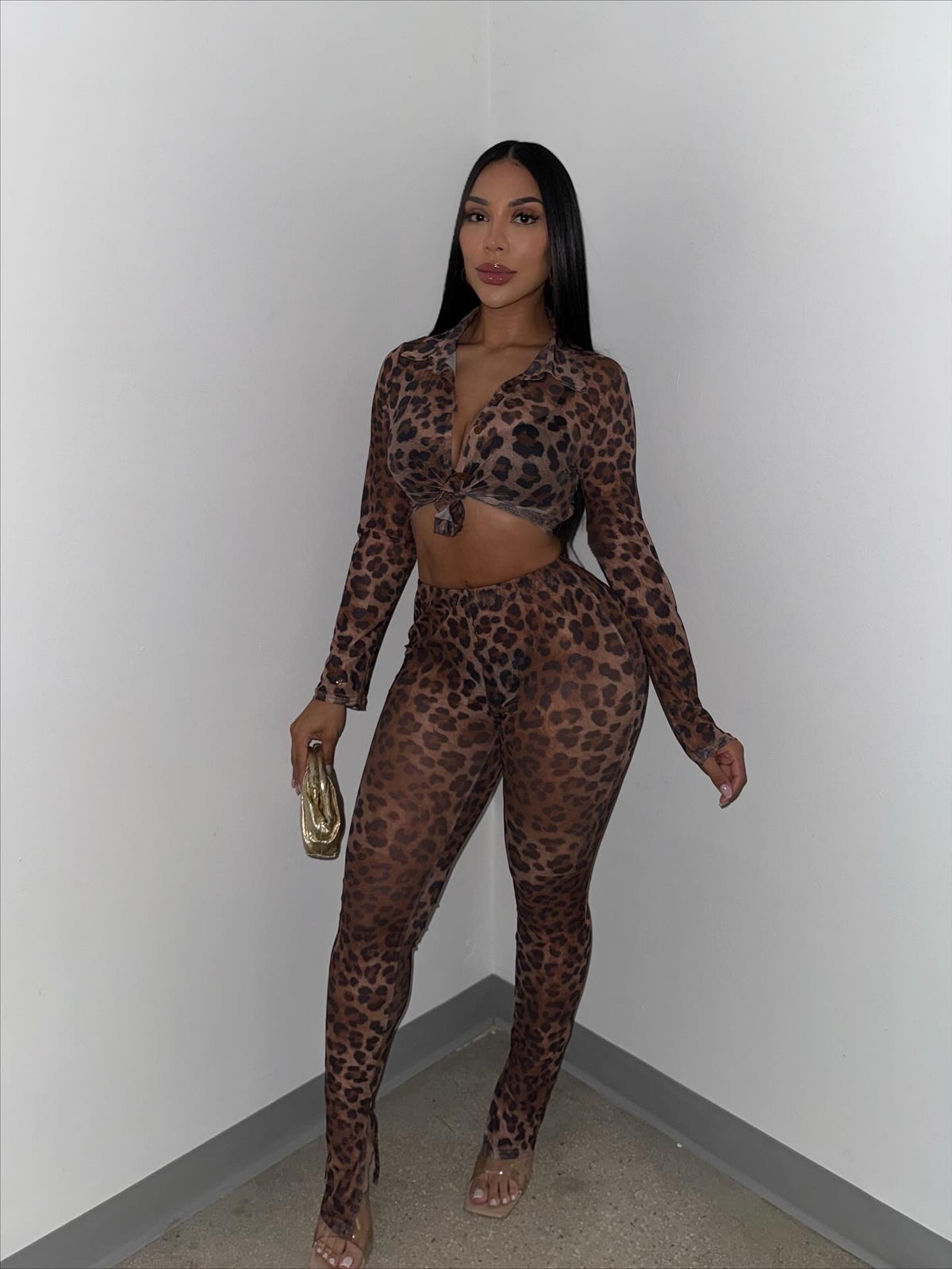 Dream Wild Mesh Set
